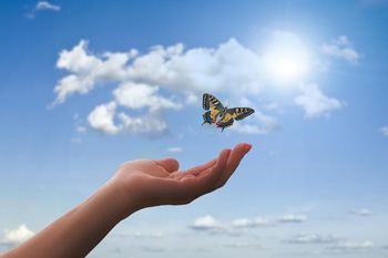 TERAPIA SKY A SOSTEGNO DELLA VULVODINIA TERAPIA SKY A SOSTEGNO DELLA VULVODINIA