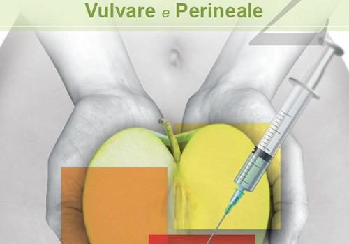 2021, Il dolore intimo vulvare e perineale – Ezio Vincenti