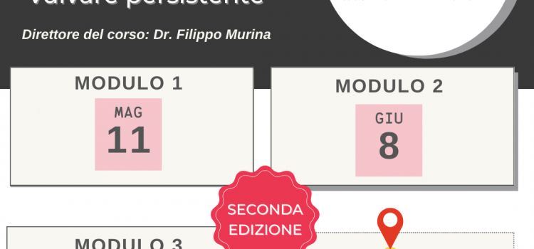 Corso: la vulvodinia e le sindromi da dolore vulvare persistente 2 edizione